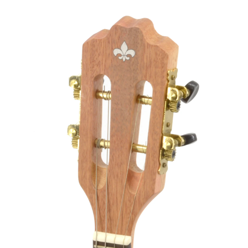 CAVAQUINHO STRINBERG CS25 NS