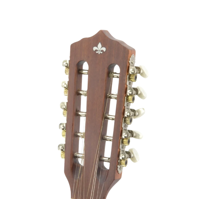 VIOLA STRINBERG VS25E MGS