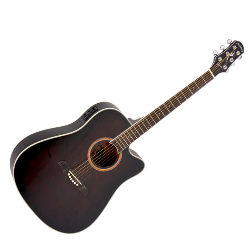 VIOLÃO STRINBERG LONDON LE30C WR