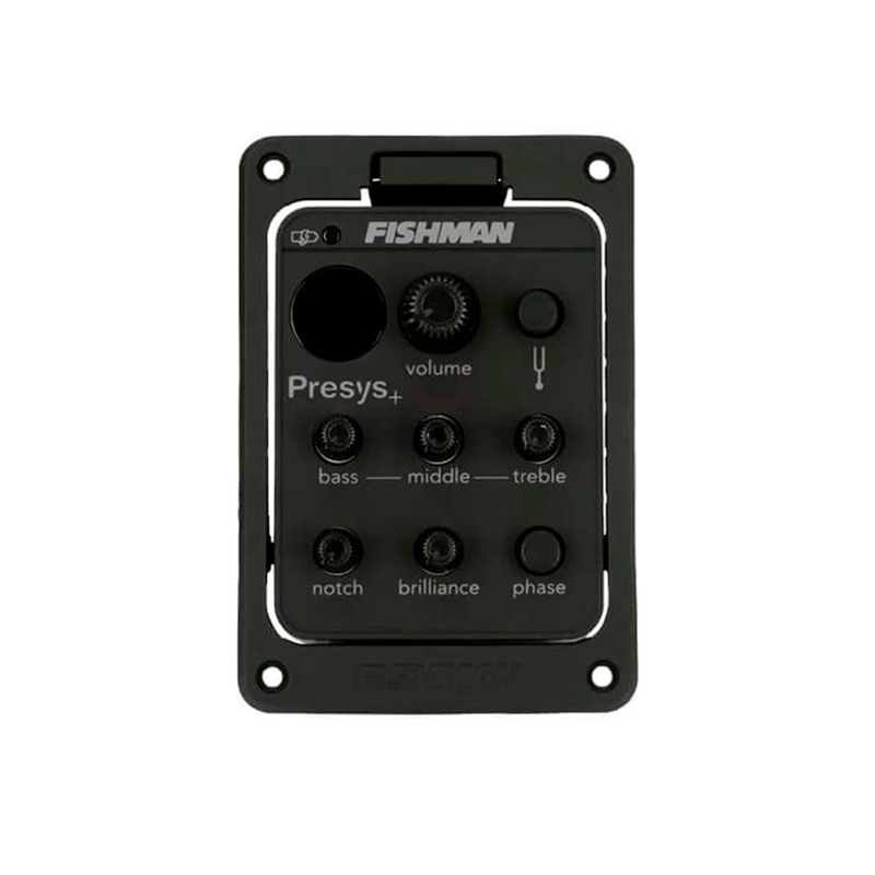 VIOLA DOURADA CINTURADA ATV NAT FISHMAN RV217 ROZINI