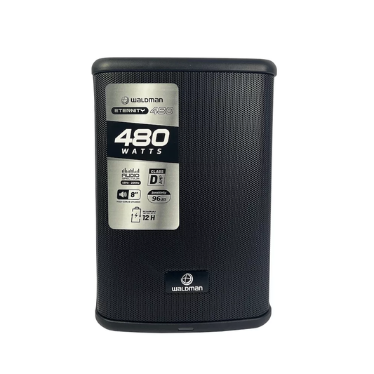 CAIXA AMPLIFICADA 8" COM BATERIA WALDMAN ET-480