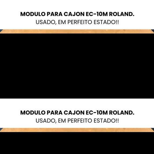 MODULO PARA CAJON ACUSTICO EC-10M (USADO)