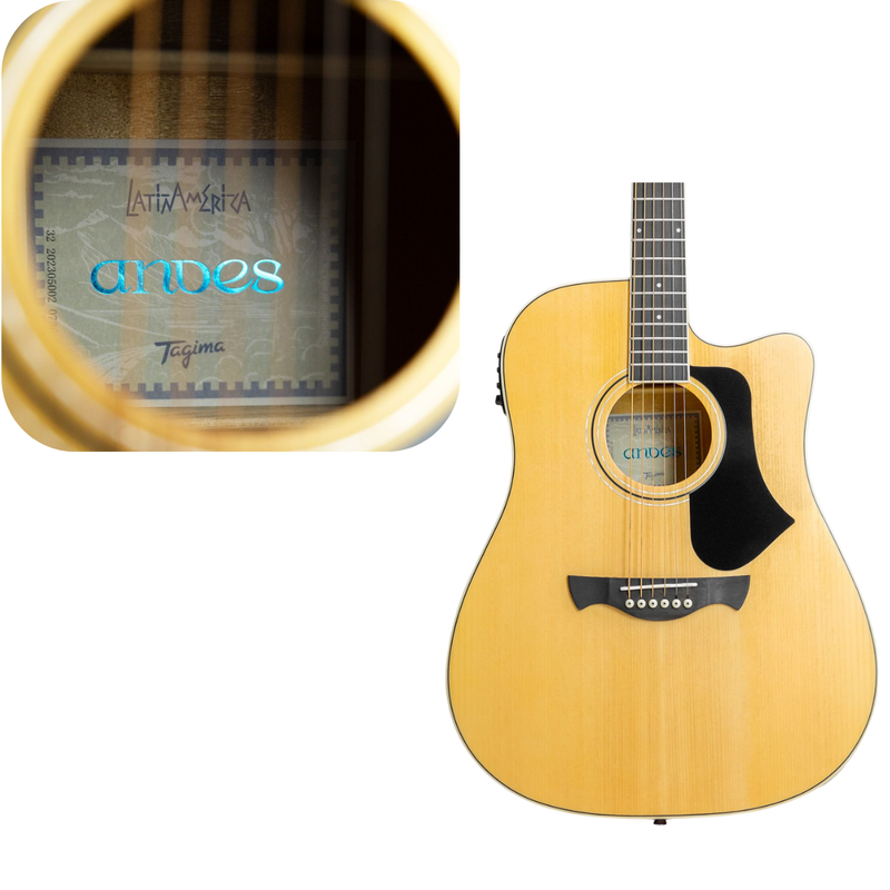 VIOLAO FOLK AÇO ANDES LATIN AMERICA ANDES NTBAS TAGIMA