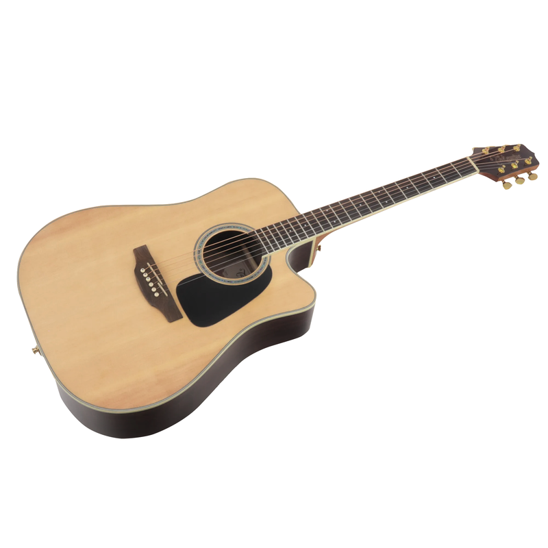 VIOLAO TAKAMINE GD51CE N & TP4TD