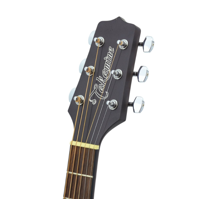 VIOLAO TAKAMINE GD14CE TOS FOSCO & TP4TD