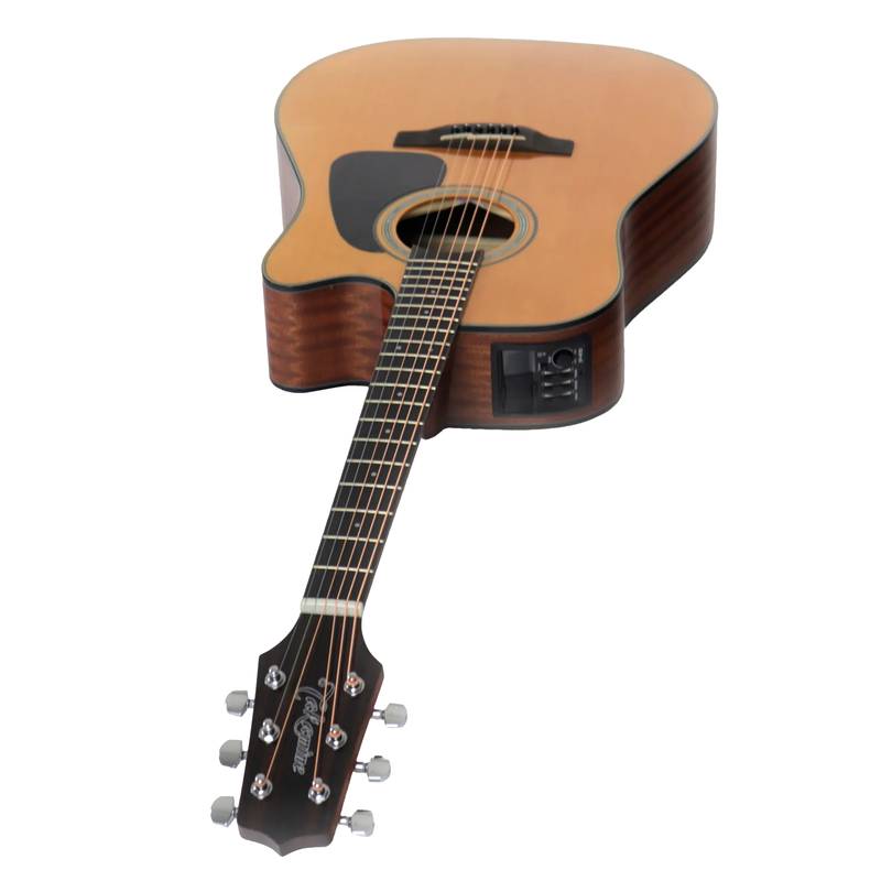 VIOLAO TAKAMINE GD51CE N & TP4TD