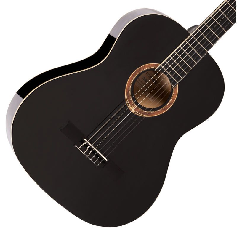 VIOLÃO MICHAEL VM15NY BK