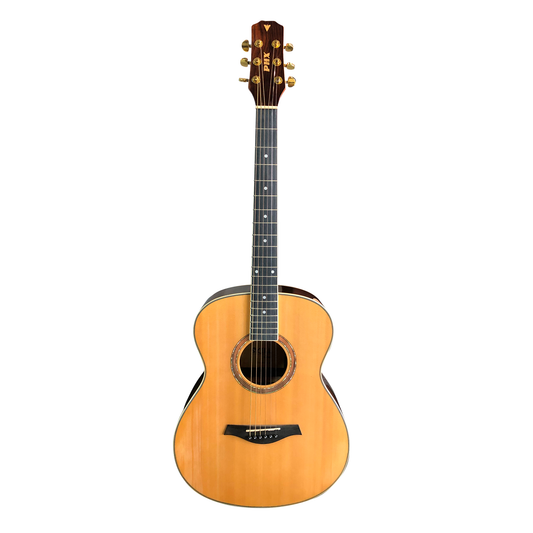 VIOLÃO DREADNOUGHT CUTWAY AÇO ELETR NATURAL PHX SGC301A