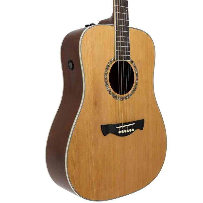 VIOLAO FOLK NON CUTAWAY ACO TLM100 NT TAGIMA