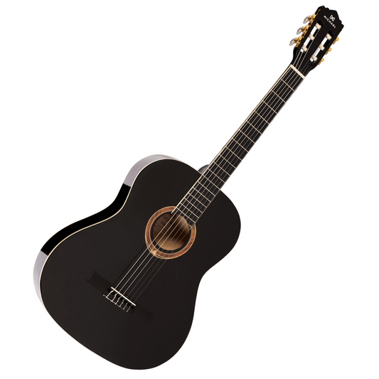 VIOLÃO MICHAEL VM15NY BK