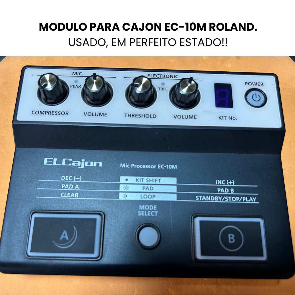 MODULO PARA CAJON ACUSTICO EC-10M (USADO)