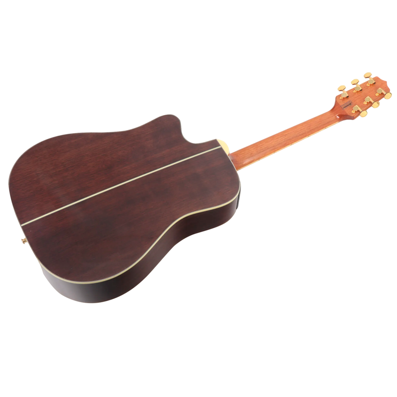 VIOLAO TAKAMINE GD51CE N & TP4TD